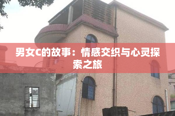 男女C的故事：情感交织与心灵探索之旅