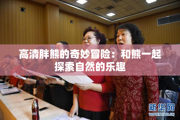 高清胖熊的奇妙冒险：和熊一起探索自然的乐趣