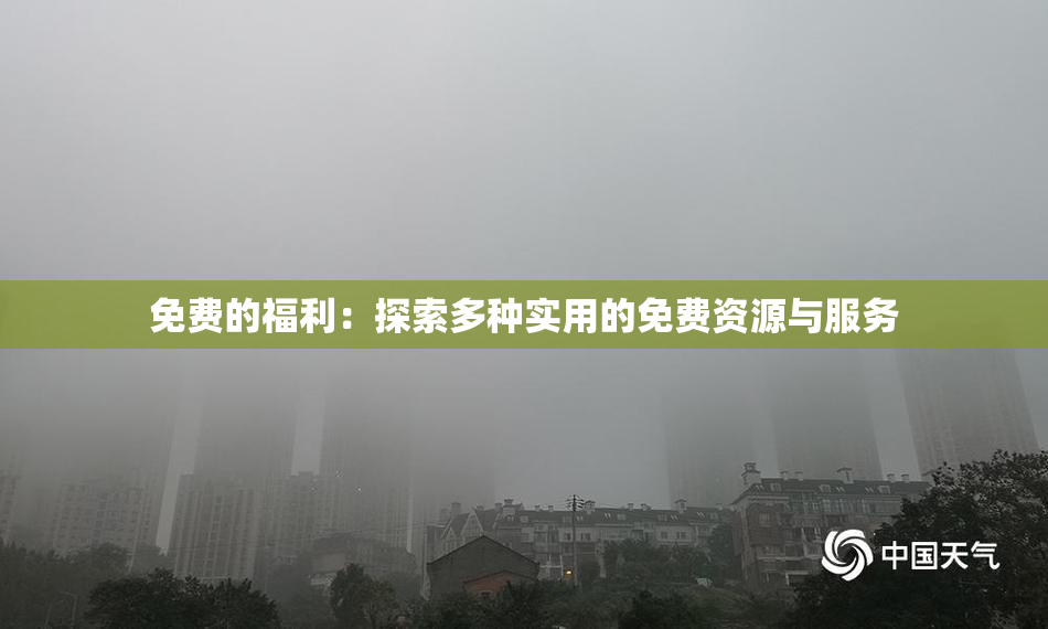 免费的福利：探索多种实用的免费资源与服务