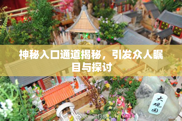 神秘入口通道揭秘，引发众人瞩目与探讨