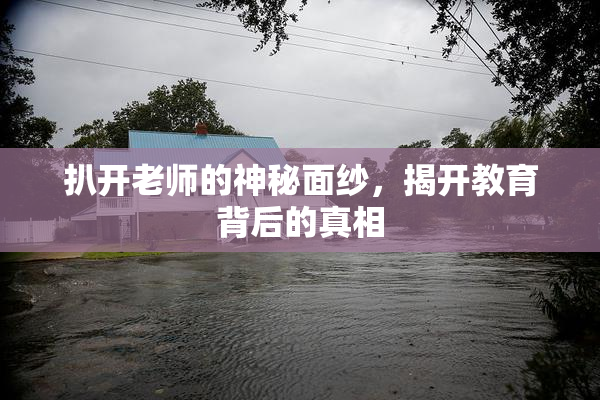 扒开老师的神秘面纱，揭开教育背后的真相