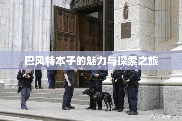 巴风特本子的魅力与探索之旅