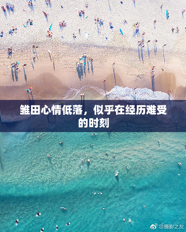 雏田心情低落，似乎在经历难受的时刻