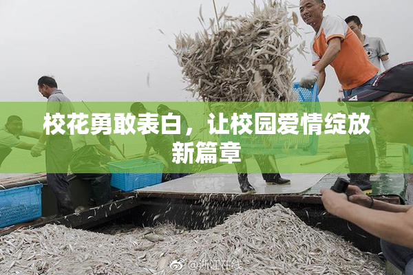 校花勇敢表白，让校园爱情绽放新篇章