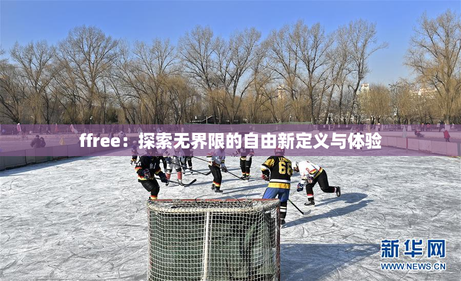 ffree：探索无界限的自由新定义与体验