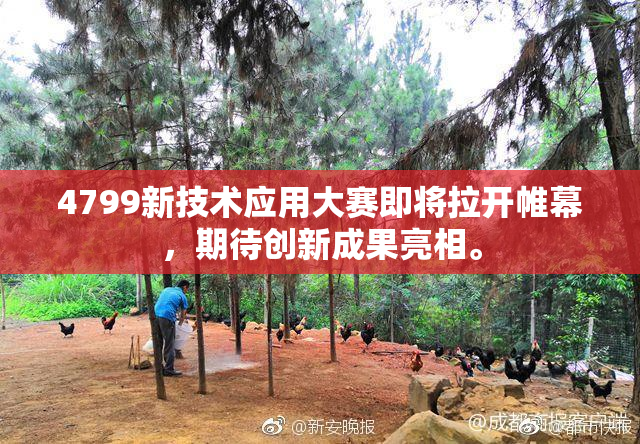 4799新技术应用大赛即将拉开帷幕，期待创新成果亮相。