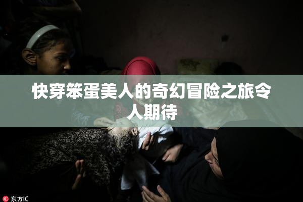 快穿笨蛋美人的奇幻冒险之旅令人期待