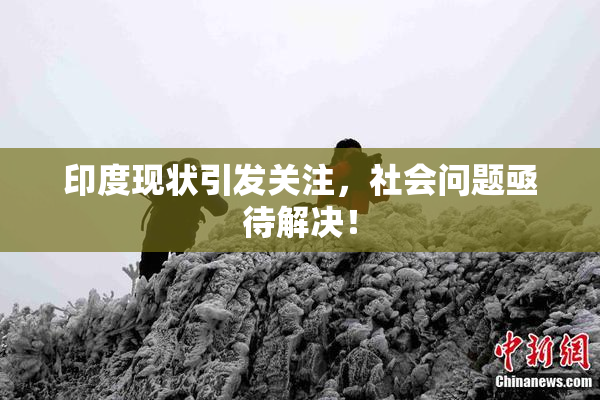 印度现状引发关注，社会问题亟待解决！