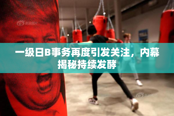 一级日B事务再度引发关注，内幕揭秘持续发酵