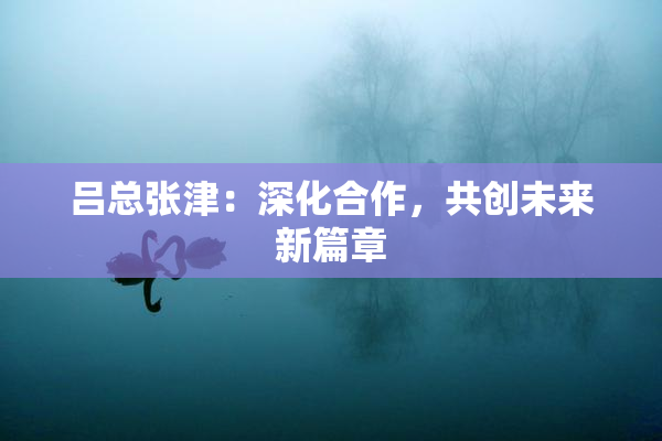 吕总张津：深化合作，共创未来新篇章