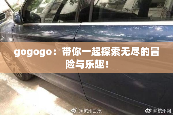 gogogo：带你一起探索无尽的冒险与乐趣！
