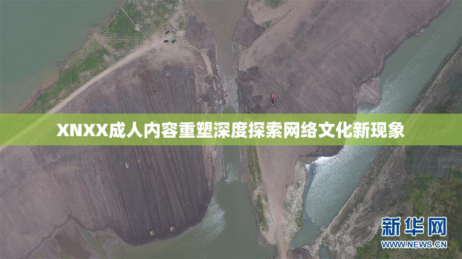 XNXX成人内容重塑深度探索网络文化新现象