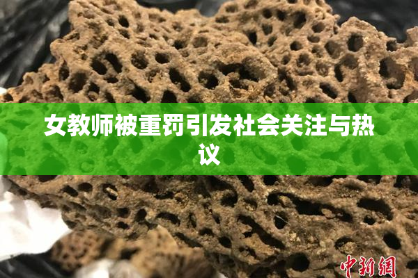 女教师被重罚引发社会关注与热议