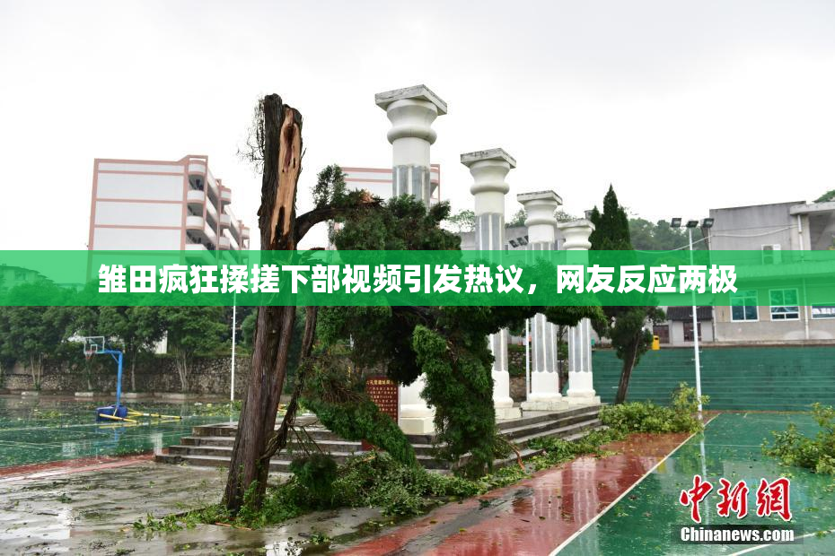 雏田疯狂揉搓下部视频引发热议，网友反应两极