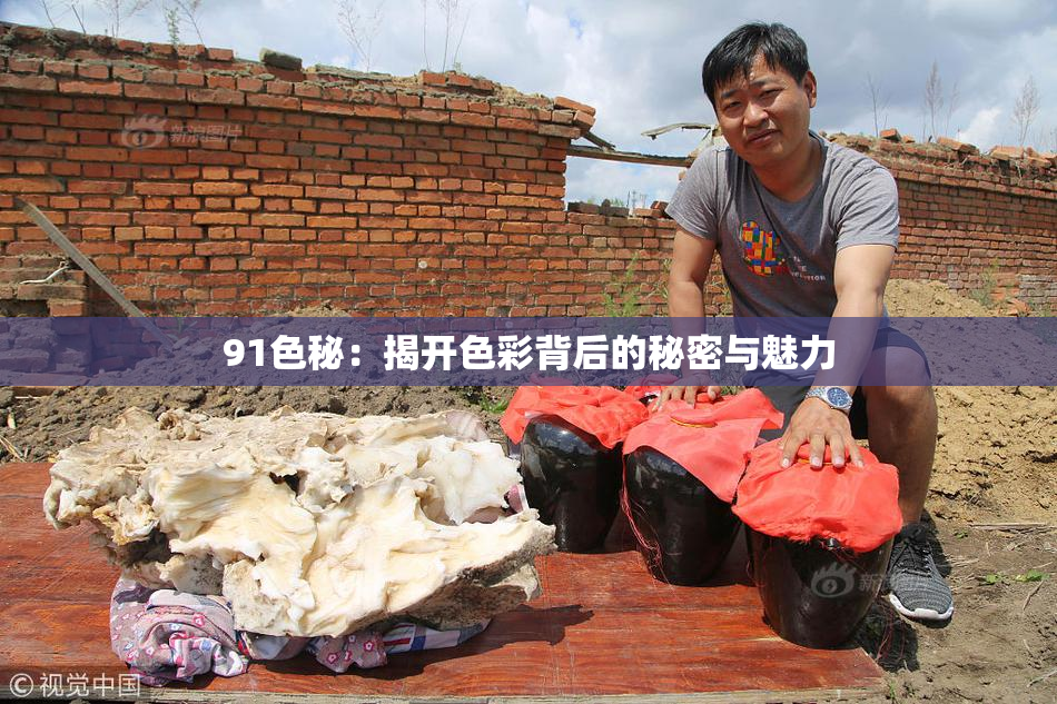 91色秘：揭开色彩背后的秘密与魅力