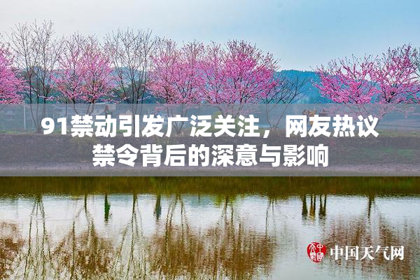 91禁动引发广泛关注，网友热议禁令背后的深意与影响