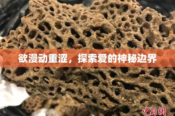 欲漫动重涩，探索爱的神秘边界