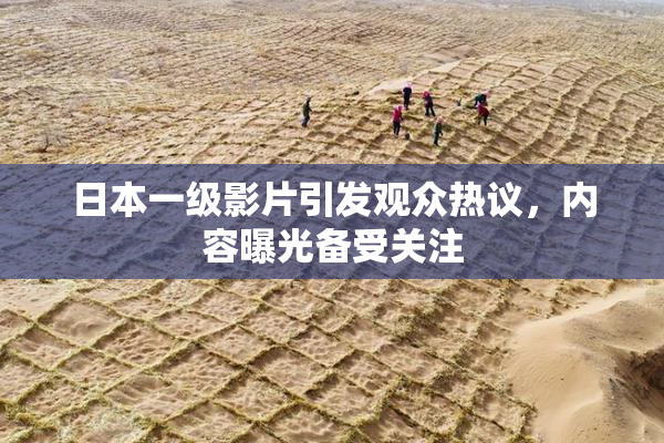 日本一级影片引发观众热议，内容曝光备受关注