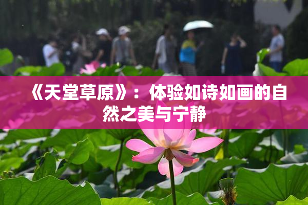 《天堂草原》：体验如诗如画的自然之美与宁静