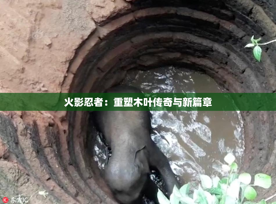 火影忍者：重塑木叶传奇与新篇章