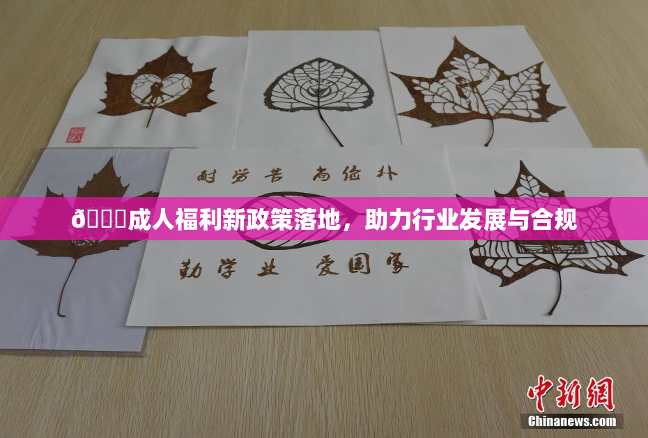 🔞成人福利新政策落地，助力行业发展与合规
