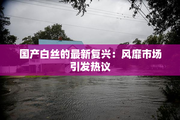 国产白丝的最新复兴：风靡市场引发热议