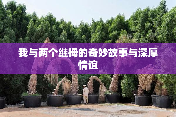 我与两个继拇的奇妙故事与深厚情谊