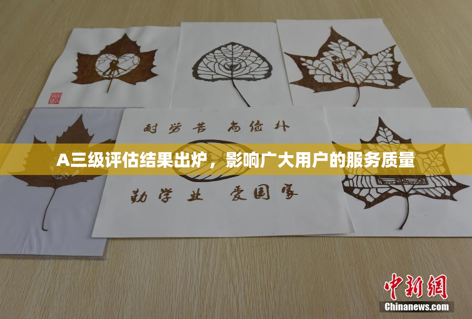 A三级评估结果出炉，影响广大用户的服务质量