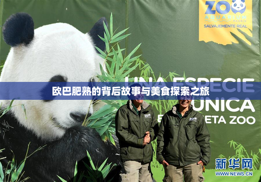 欧巴肥熟的背后故事与美食探索之旅