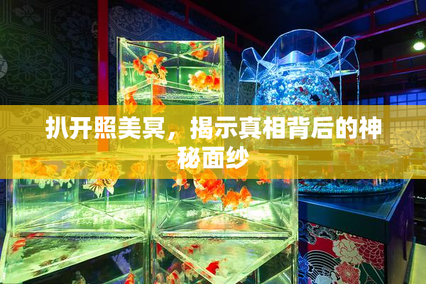 扒开照美冥，揭示真相背后的神秘面纱