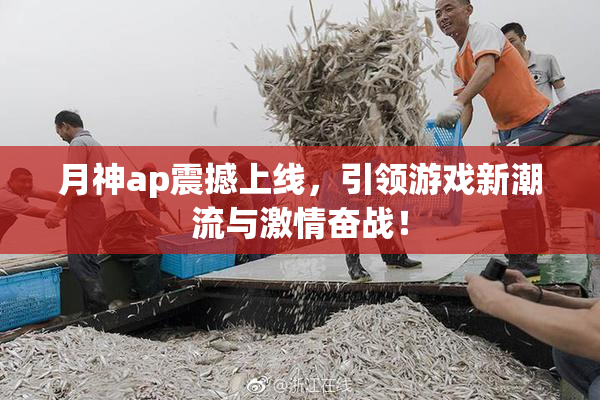月神ap震撼上线，引领游戏新潮流与激情奋战！