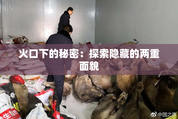 火口下的秘密：探索隐藏的两重面貌