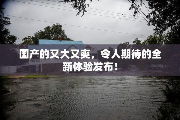 国产的又大又爽，令人期待的全新体验发布！