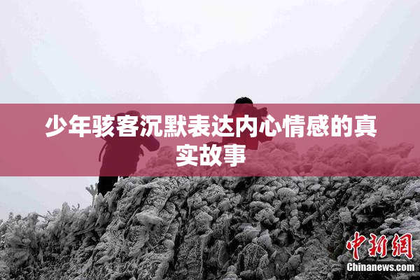少年骇客沉默表达内心情感的真实故事