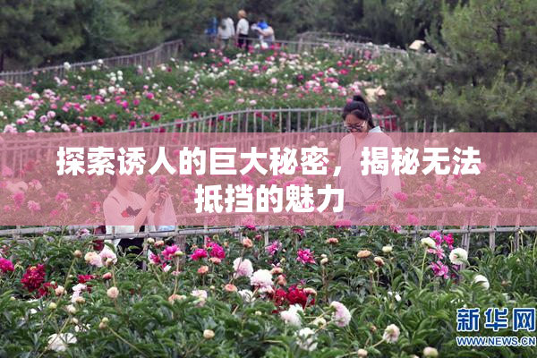 探索诱人的巨大秘密，揭秘无法抵挡的魅力