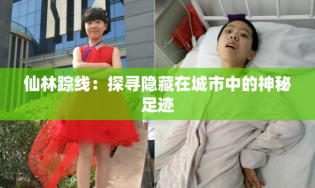 仙林踪线：探寻隐藏在城市中的神秘足迹