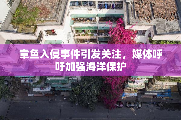 章鱼入侵事件引发关注，媒体呼吁加强海洋保护