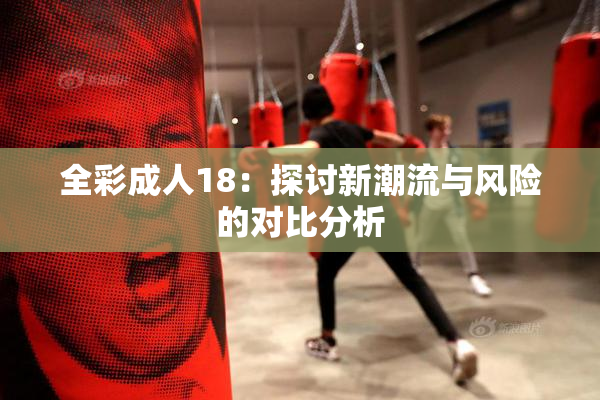全彩成人18：探讨新潮流与风险的对比分析