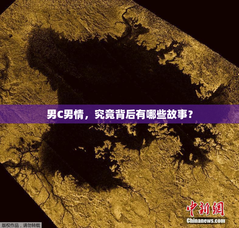男C男情，究竟背后有哪些故事？