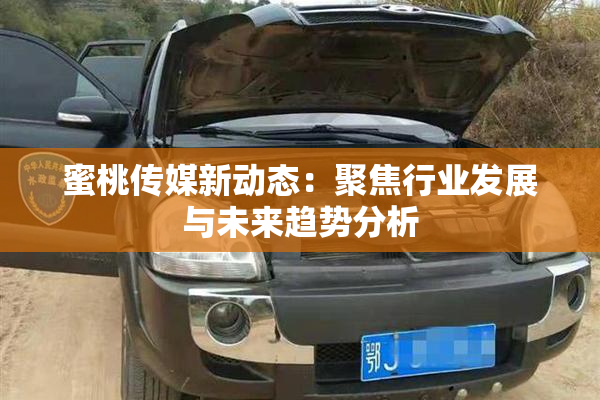 蜜桃传媒新动态：聚焦行业发展与未来趋势分析