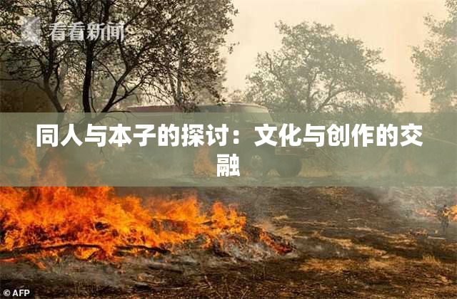 同人与本子的探讨：文化与创作的交融