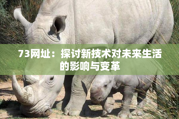 73网址：探讨新技术对未来生活的影响与变革