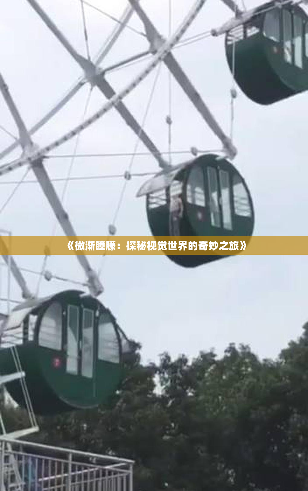 《微渐瞳朦：探秘视觉世界的奇妙之旅》