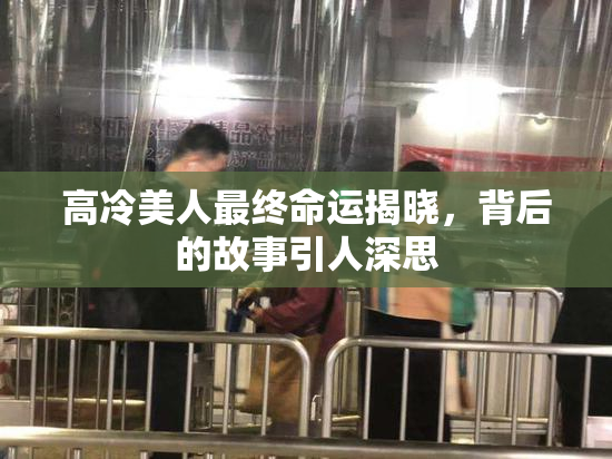 高冷美人最终命运揭晓，背后的故事引人深思
