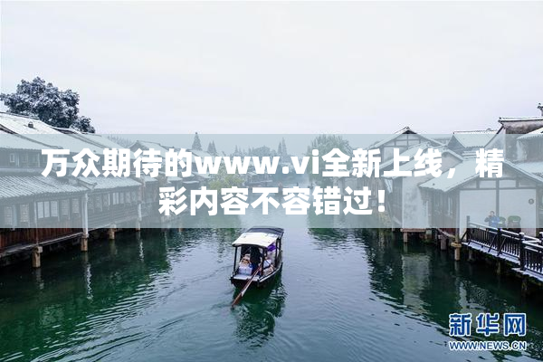万众期待的www.vi全新上线，精彩内容不容错过！