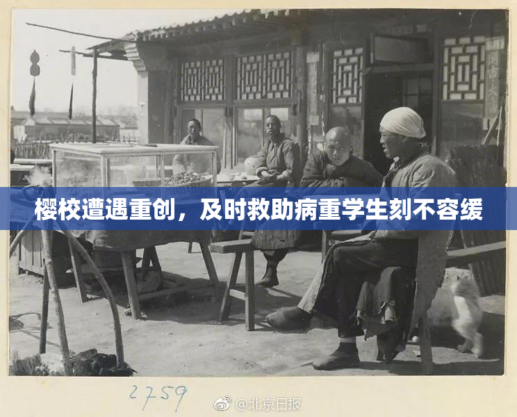 樱校遭遇重创，及时救助病重学生刻不容缓