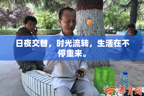 日夜交替，时光流转，生活在不停重来。