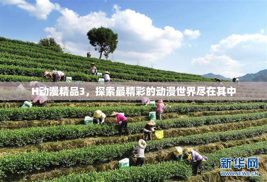 H动漫精品3，探索最精彩的动漫世界尽在其中