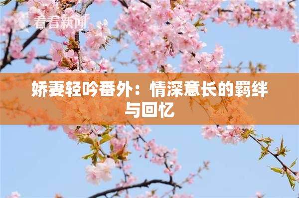 娇妻轻吟番外：情深意长的羁绊与回忆