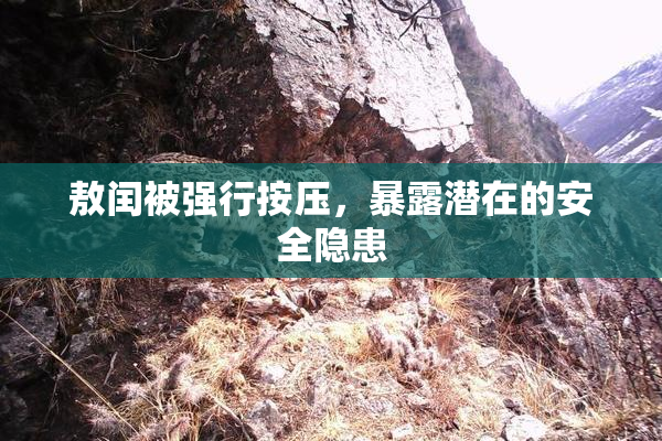 敖闰被强行按压，暴露潜在的安全隐患